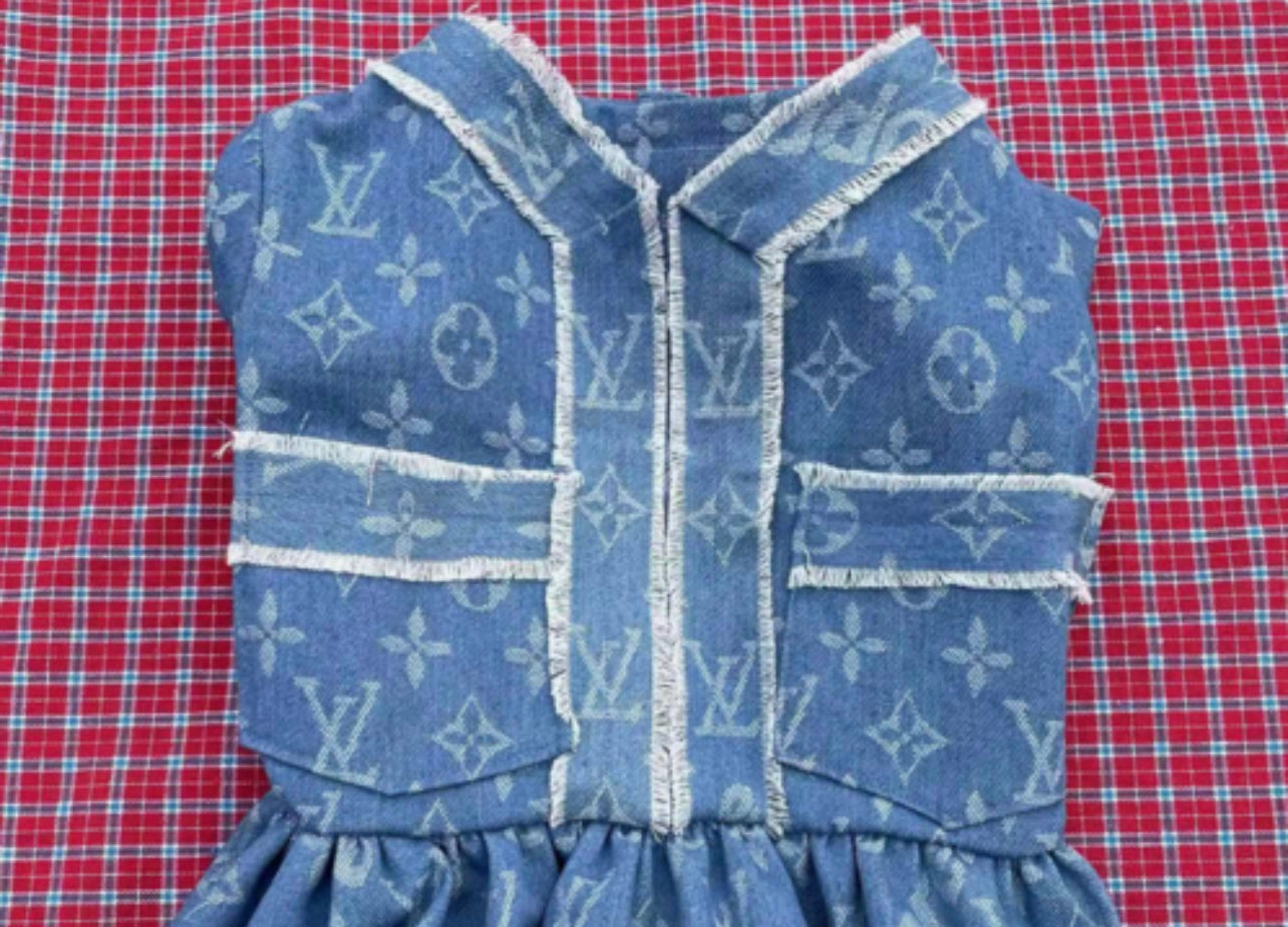 Chewy Louie Denim Flared Dress