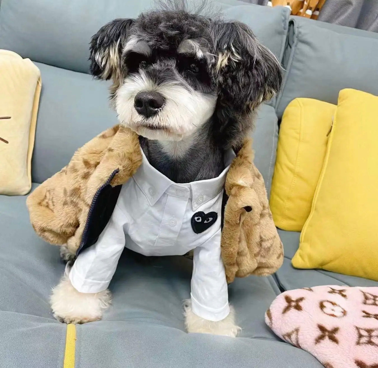 Chewy dog jackets sale