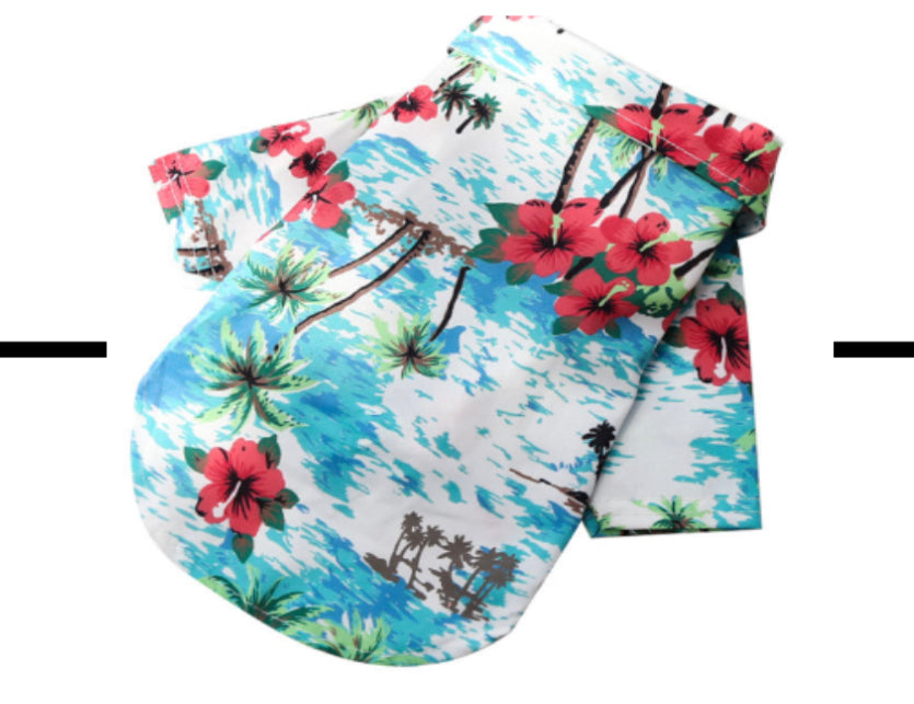 Hawaiian Shirts